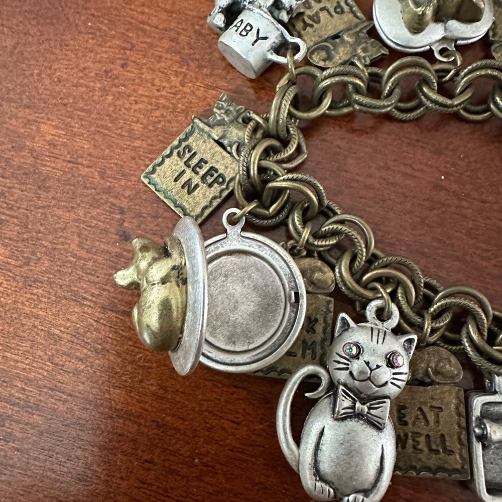 "Things I Learned From My Cat Charm Bracelet" by Sweet Romance Jewelry - Picture 3 of 3